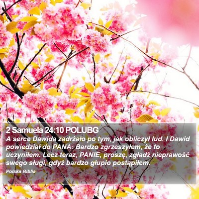 2 Samuela 24:10 POLUBG Bible Verse Image