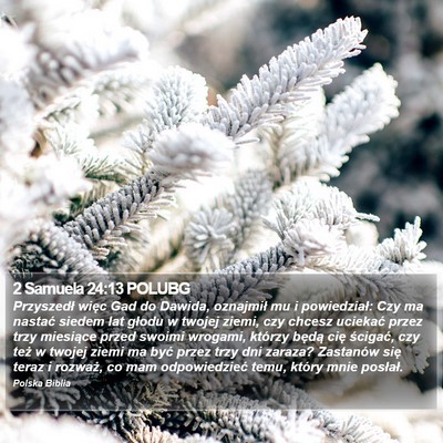 2 Samuela 24:13 POLUBG Bible Verse Image
