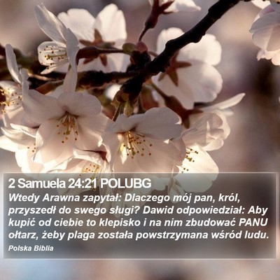 2 Samuela 24:21 POLUBG Bible Verse Image