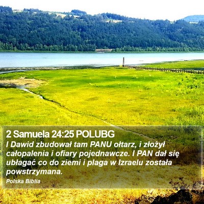 2 Samuela 24:25 POLUBG Bible Verse Image