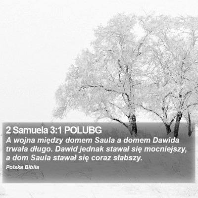2 Samuela 3:1 POLUBG Bible Verse Image