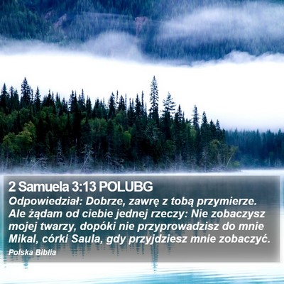 2 Samuela 3:13 POLUBG Bible Verse Image