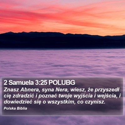 2 Samuela 3:25 POLUBG Bible Verse Image