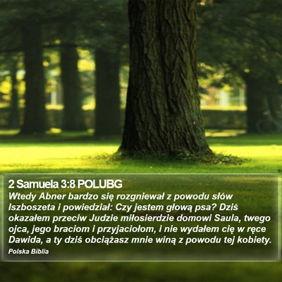 2 Samuela 3:8 POLUBG Bible Verse Image