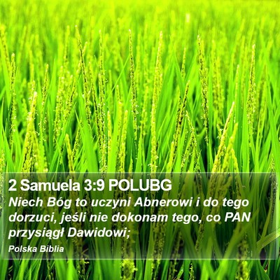 2 Samuela 3:9 POLUBG Bible Verse Image