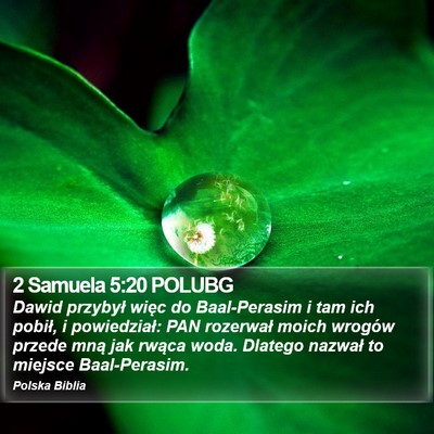 2 Samuela 5:20 POLUBG Bible Verse Image
