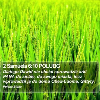 2 Samuela 6:10 POLUBG Bible Verse Image