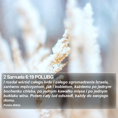 2 Samuela 6:19 POLUBG Bible Verse Image