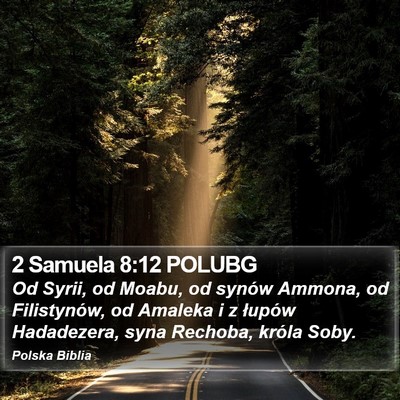 2 Samuela 8:12 POLUBG Bible Verse Image