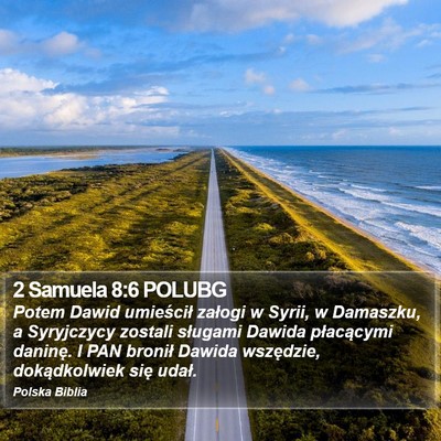 2 Samuela 8:6 POLUBG Bible Verse Image