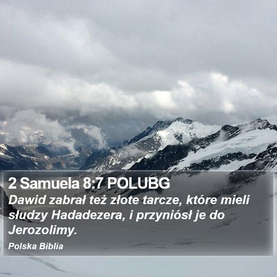 2 Samuela 8:7 POLUBG Bible Verse Image