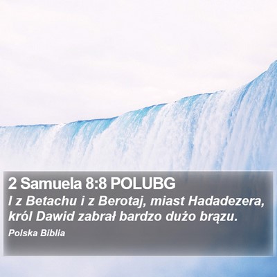 2 Samuela 8:8 POLUBG Bible Verse Image