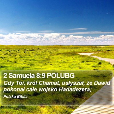 2 Samuela 8:9 POLUBG Bible Verse Image