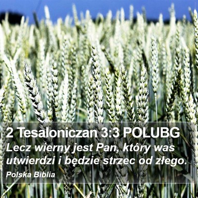 2 Tesaloniczan 3:3 POLUBG Bible Verse Image