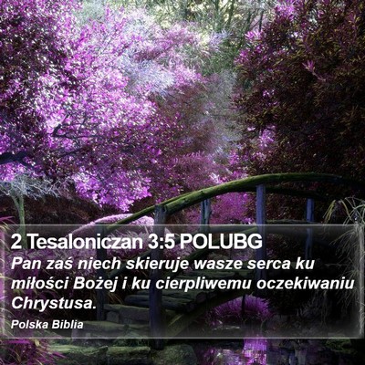 2 Tesaloniczan 3:5 POLUBG Bible Verse Image