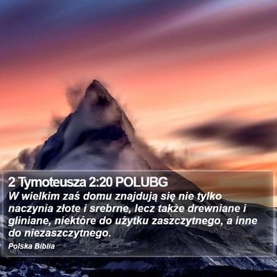 2 Tymoteusza 2:20 POLUBG Bible Verse Image