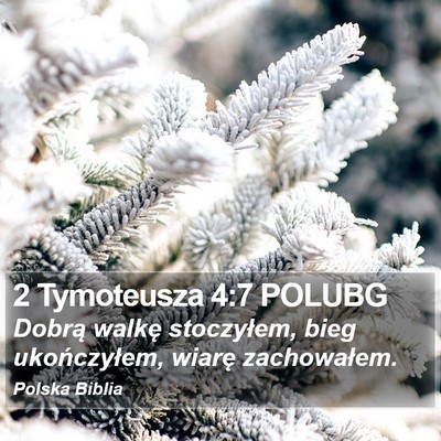 2 Tymoteusza 4:7 POLUBG Bible Verse Image
