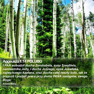 Aggeusza 1:14 POLUBG Bible Verse Image