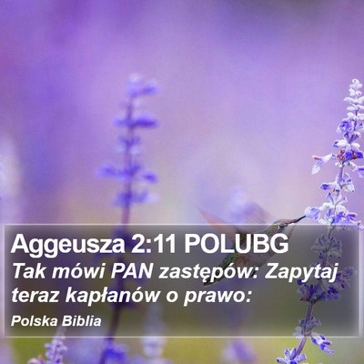 Aggeusza 2:11 POLUBG Bible Verse Image
