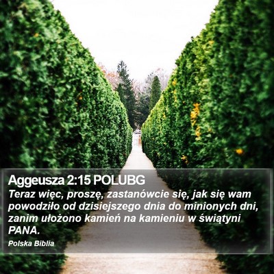 Aggeusza 2:15 POLUBG Bible Verse Image