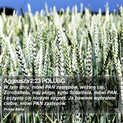 Aggeusza 2:23 POLUBG Bible Verse Image