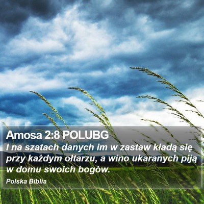 Amosa 2:8 POLUBG Bible Verse Image
