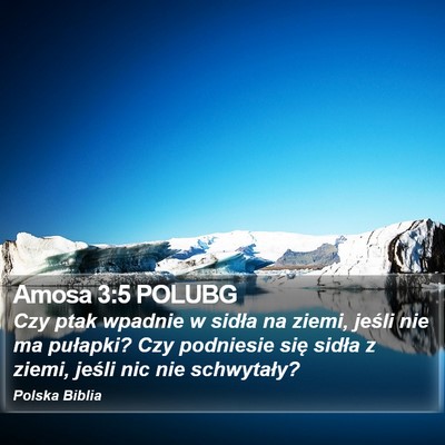 Amosa 3:5 POLUBG Bible Verse Image