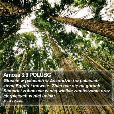 Amosa 3:9 POLUBG Bible Verse Image