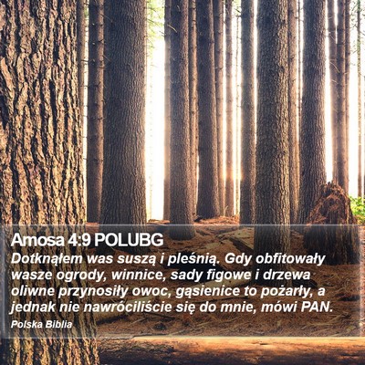 Amosa 4:9 POLUBG Bible Verse Image