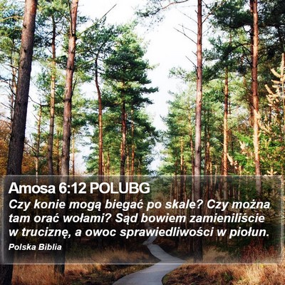 Amosa 6:12 POLUBG Bible Verse Image