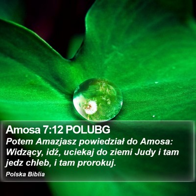 Amosa 7:12 POLUBG Bible Verse Image