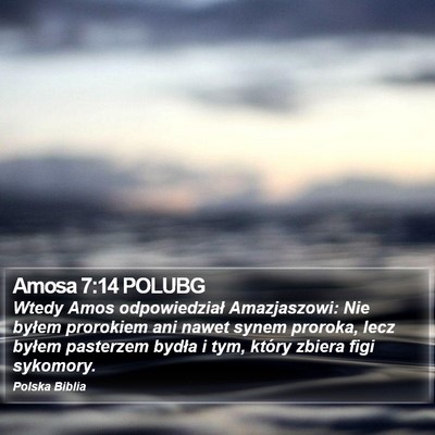 Amosa 7:14 POLUBG Bible Verse Image
