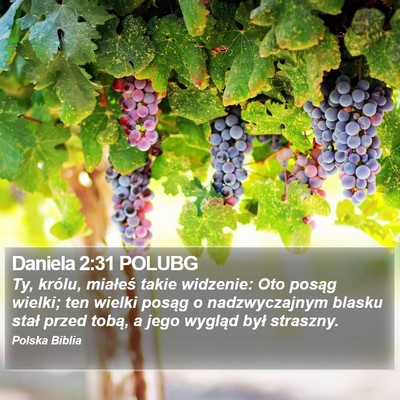 Daniela 2:31 POLUBG Bible Verse Image