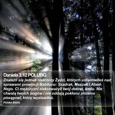 Daniela 3:12 POLUBG Bible Verse Image