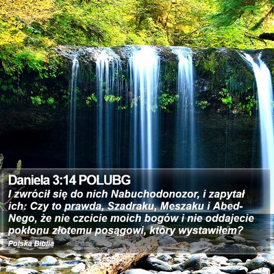 Daniela 3:14 POLUBG Bible Verse Image