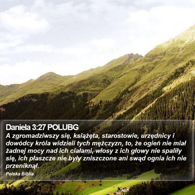 Daniela 3:27 POLUBG Bible Verse Image