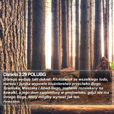 Daniela 3:29 POLUBG Bible Verse Image