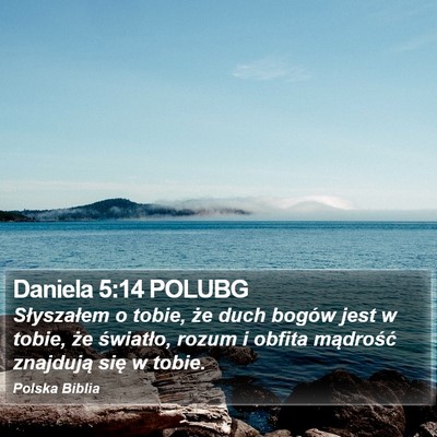Daniela 5:14 POLUBG Bible Verse Image