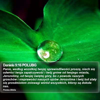 Daniela 9:16 POLUBG Bible Verse Image