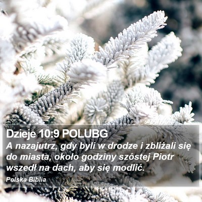 Dzieje 10:9 POLUBG Bible Verse Image