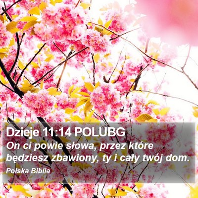 Dzieje 11:14 POLUBG Bible Verse Image