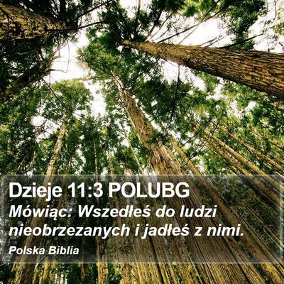 Dzieje 11:3 POLUBG Bible Verse Image