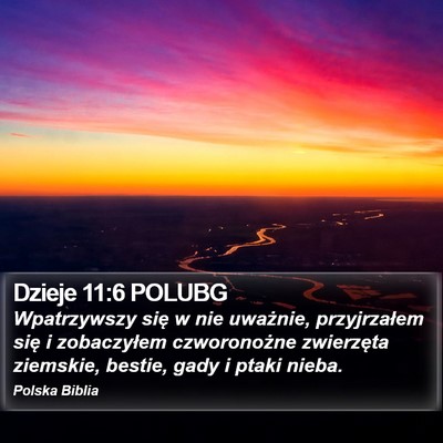 Dzieje 11:6 POLUBG Bible Verse Image