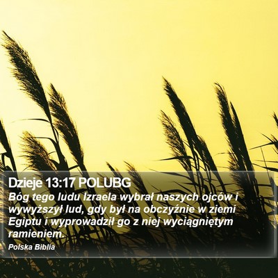 Dzieje 13:17 POLUBG Bible Verse Image