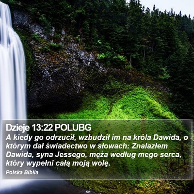 Dzieje 13:22 POLUBG Bible Verse Image