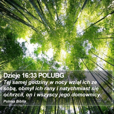 Dzieje 16:33 POLUBG Bible Verse Image