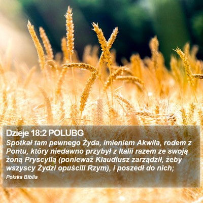 Dzieje 18:2 POLUBG Bible Verse Image