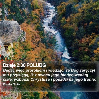 Dzieje 2:30 POLUBG Bible Verse Image