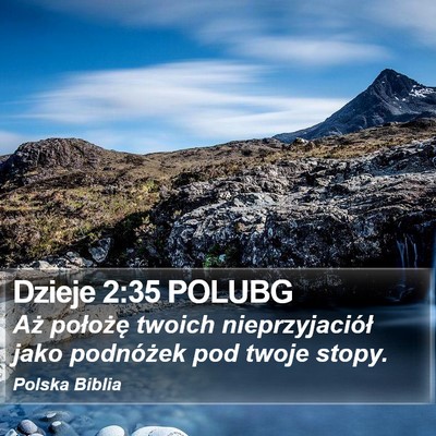 Dzieje 2:35 POLUBG Bible Verse Image