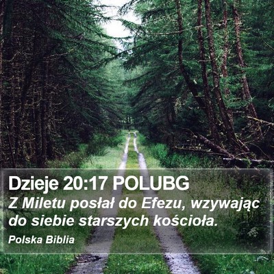 Dzieje 20:17 POLUBG Bible Verse Image